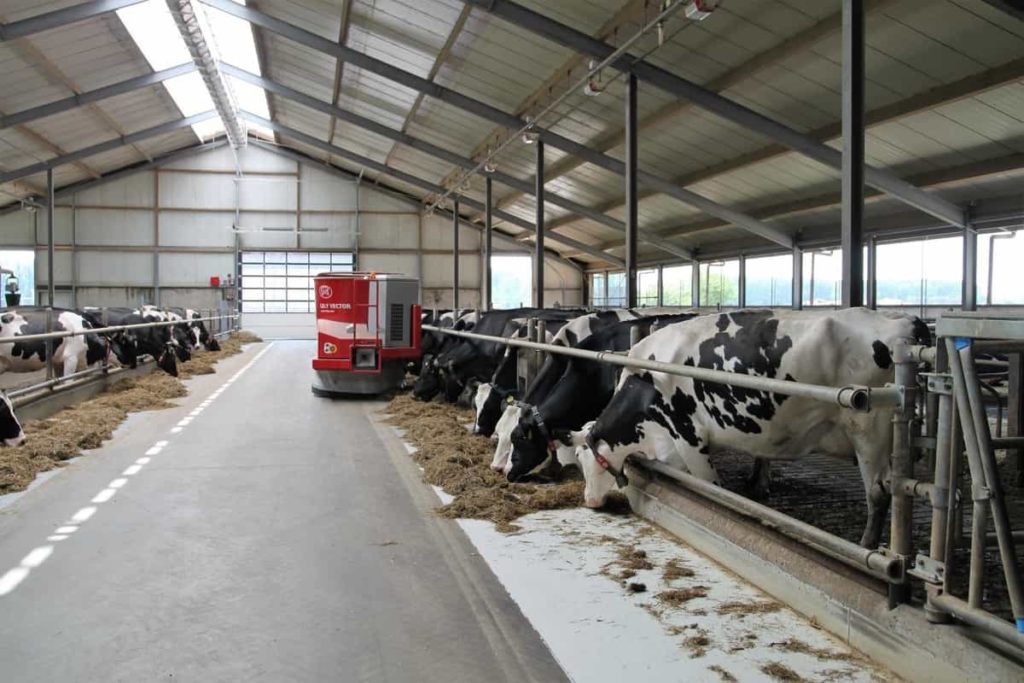 WHL-Dairy-Farm