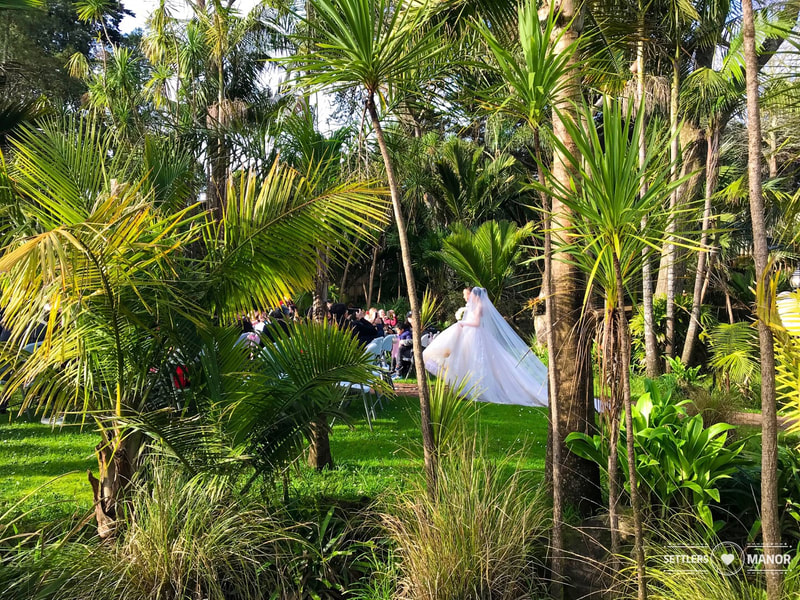 Wedding Ceremony